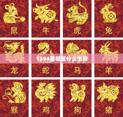 1994年生肖五行|1994年五行属什么？1994年出生是什么命？